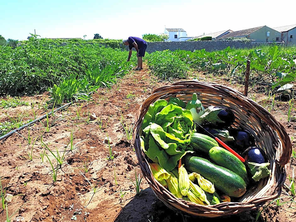 MASSERIA SALENTINA - Esperienza Autentica