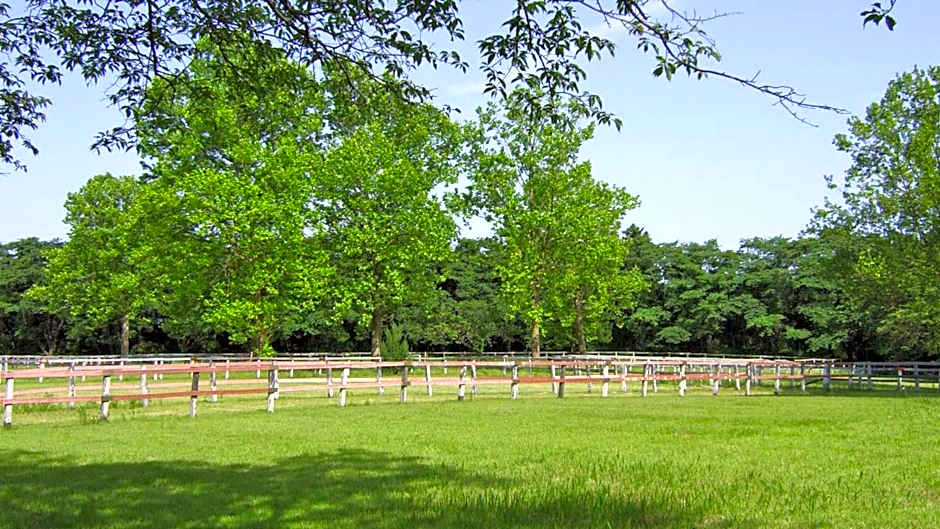 Toyoko Inn Imba Nihon-idai Ekimae