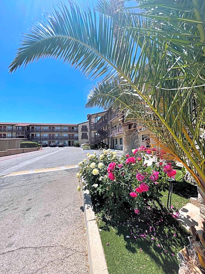 Palms Inn & Suites