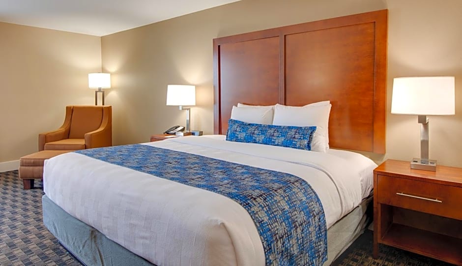 Best Western Plus Greenville I-385 Inn & Suites