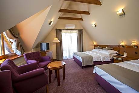Triple Room with Mountain View