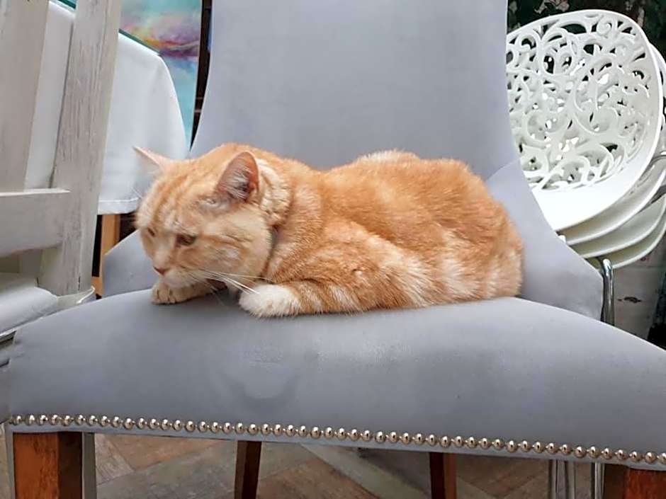 Pensjonat Kaszubianka