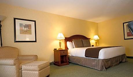 Economy Queen Room