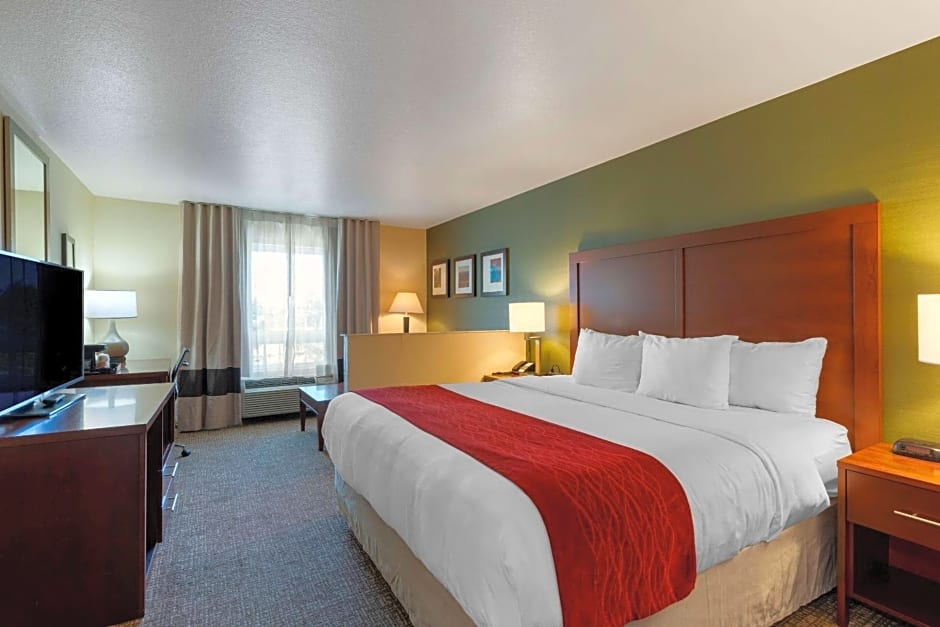 Comfort Inn & Suites Salem
