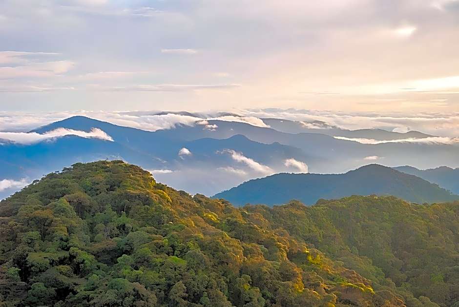 My Home @ Golden Hills Apartment