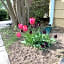 Purcellville Home
