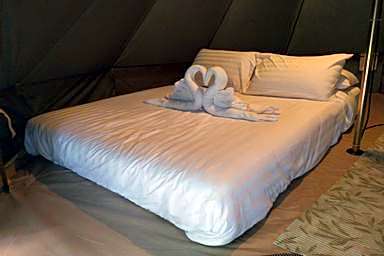 It my life cafe x camp