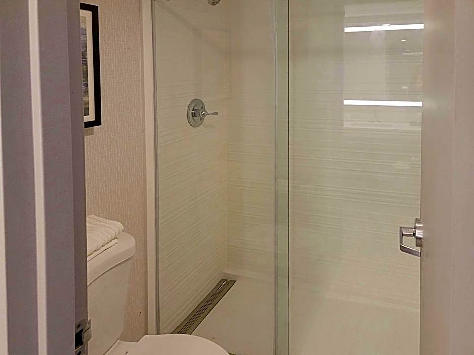 Comfort Inn & Suites Wyomissing - Reading