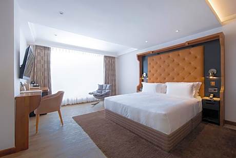 Premier Room