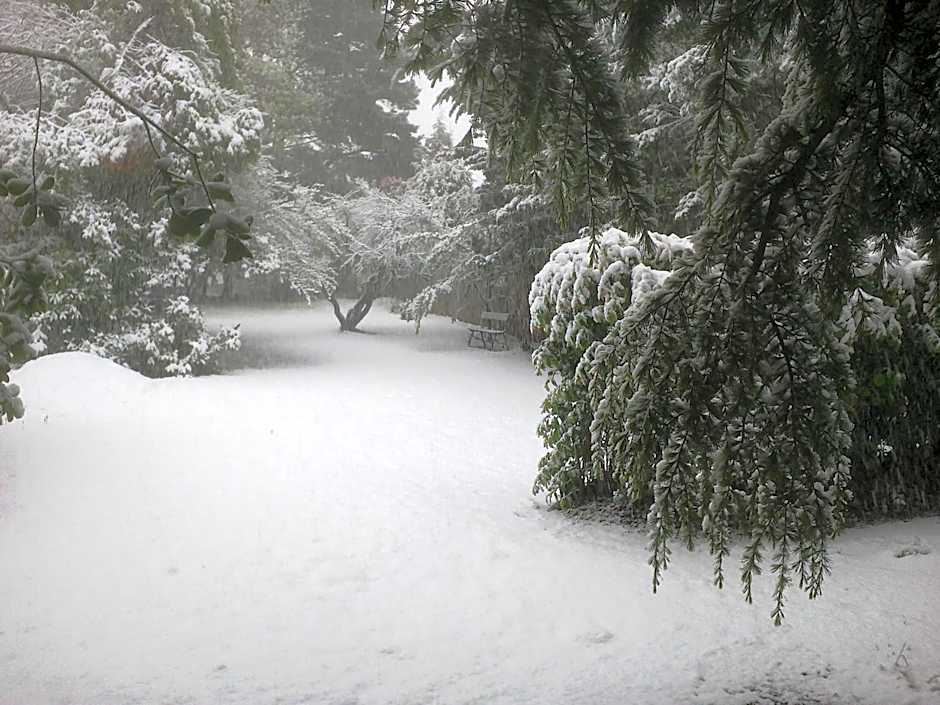 Blackheath Motor Inn