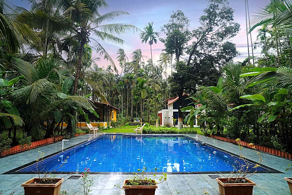 The Enchanted Nest By Privy Stays