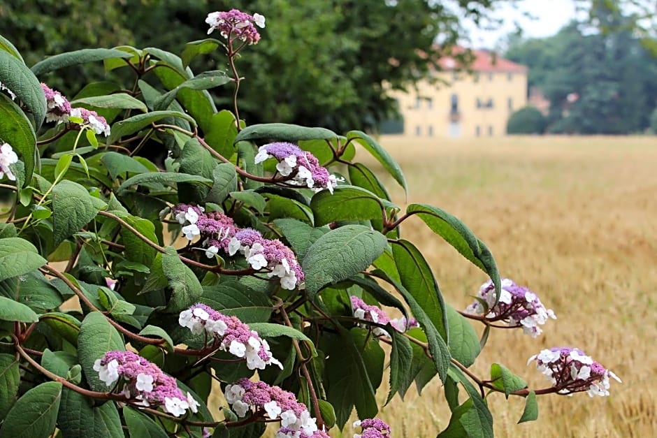 Agriturismo Il Torrione