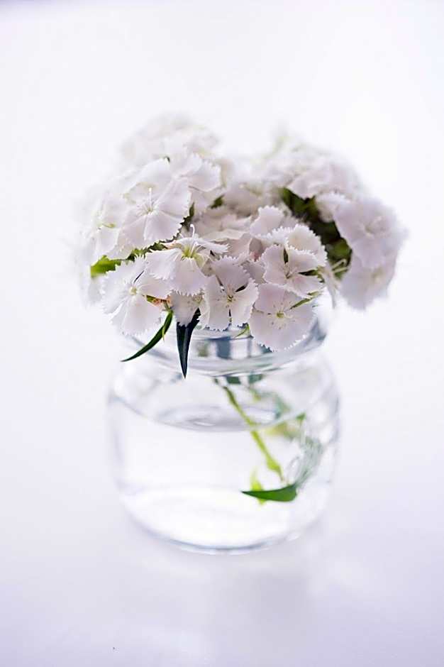 Ariae Dépendance - Alihotels