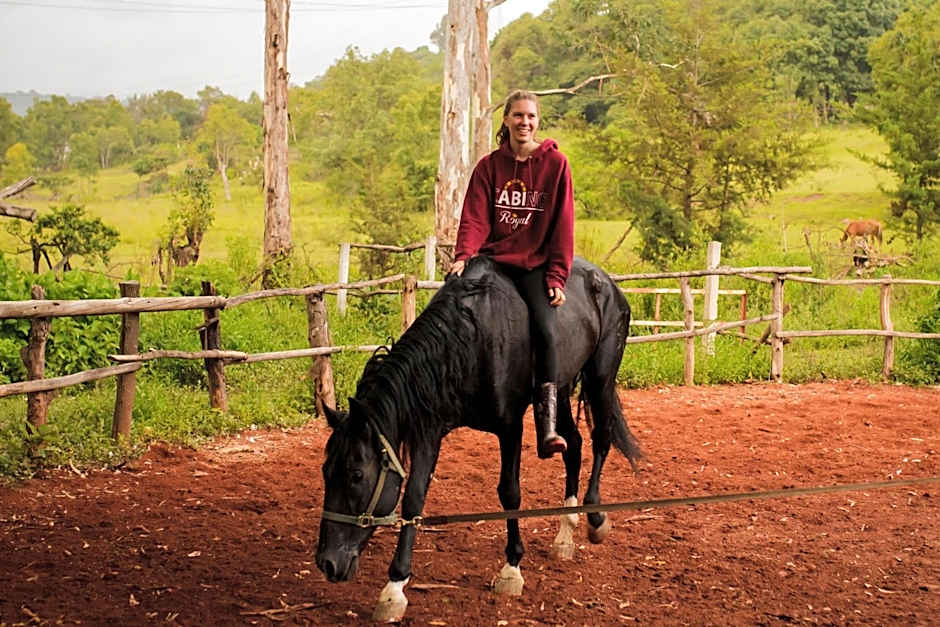 Rancho con Caballos El Reencuentro