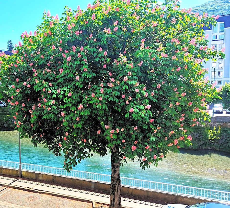 Hotel Christina Lourdes