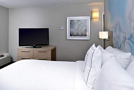 Suite, 1 King, Sofa bed