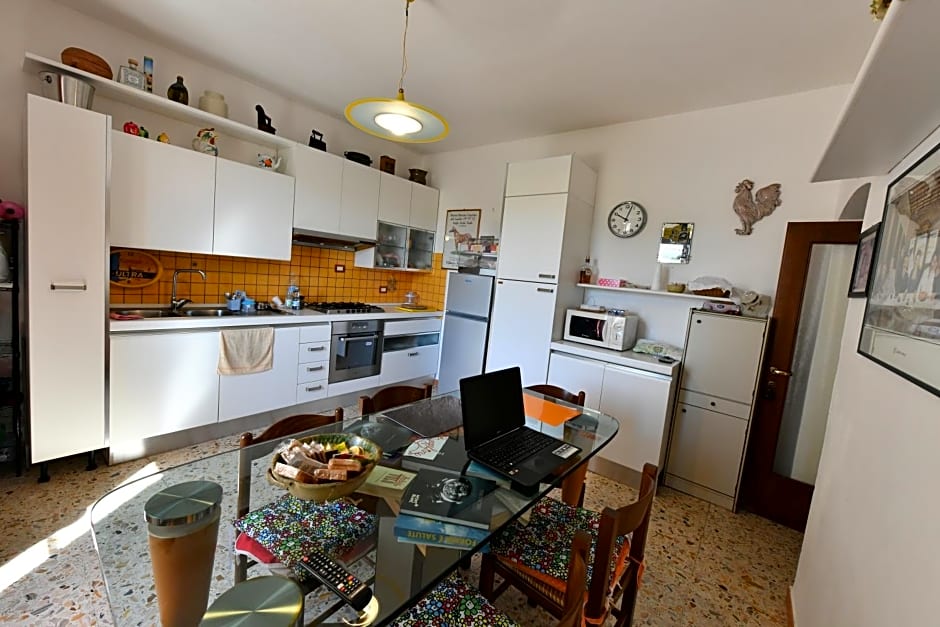 B&B Tredomus