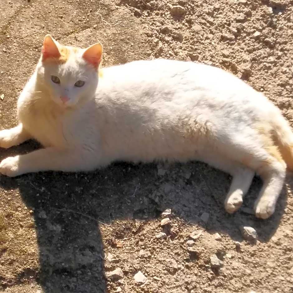 La Cabaña Romantica de Llano
