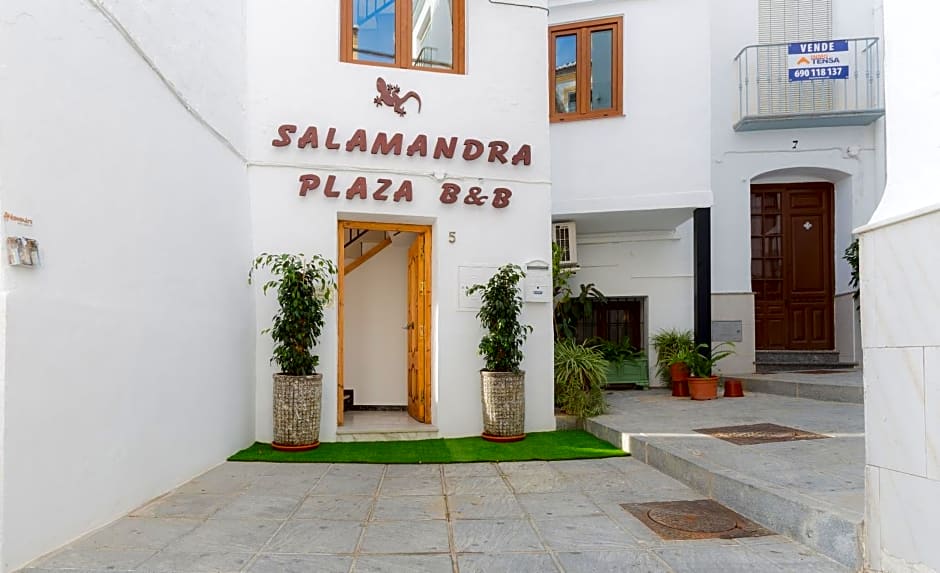 Salamandra Plaza B&B