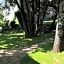 Sous les chênes