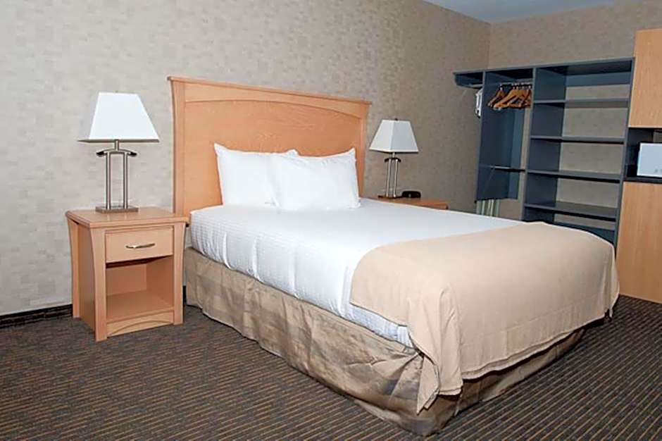 Paradise Inn and Suites