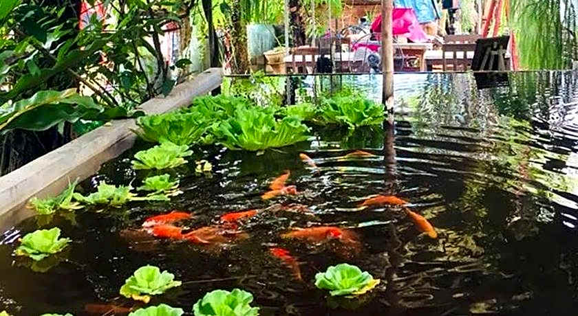 Artist's Place Trat