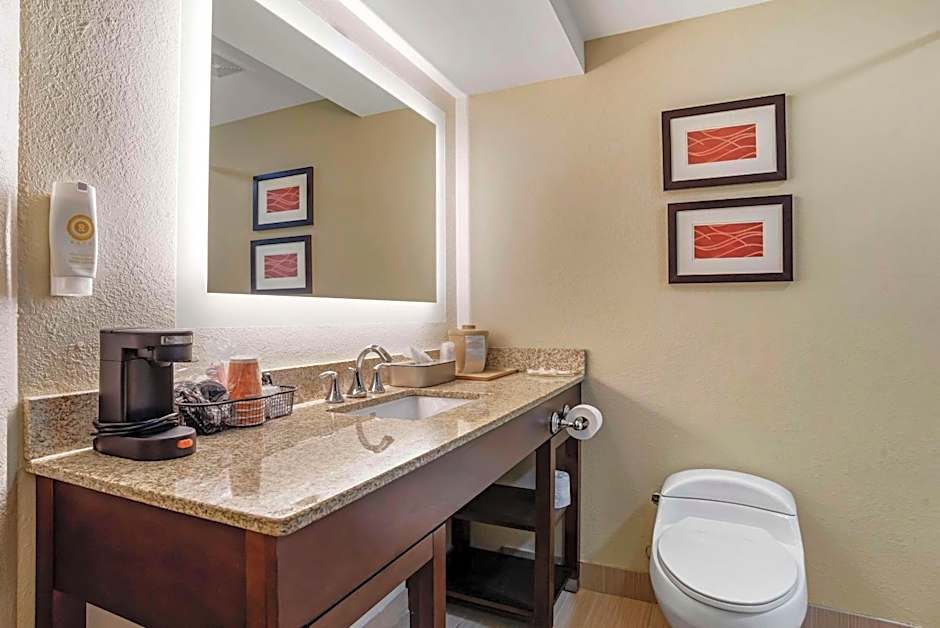 Comfort Inn Opelika - Auburn