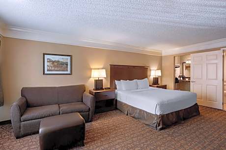 King Room with Bath Tub - Disability Access Room/Non-Smoking