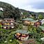 Big Tree House Lodge