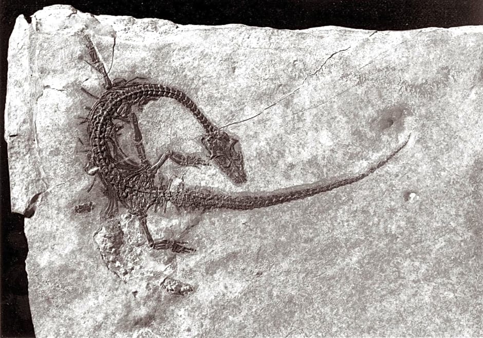 Charming B&B and Osteria La Crisalide