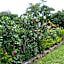 Ecotel Quinta Regia