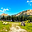Hotel Goldene Rose