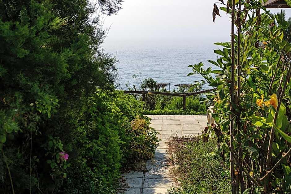 Summer Dream Cyprus
