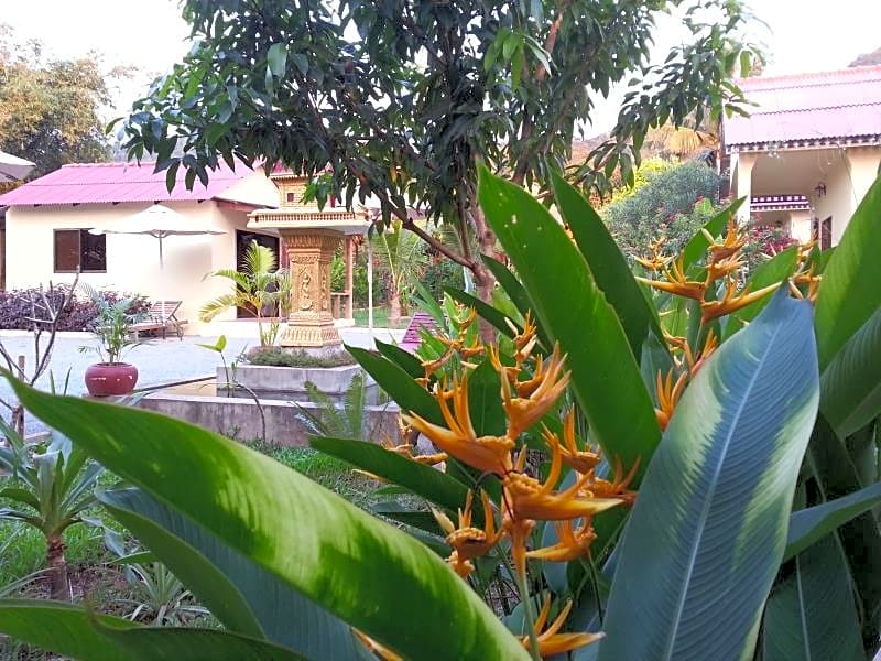 Bird of Paradise Bungalows