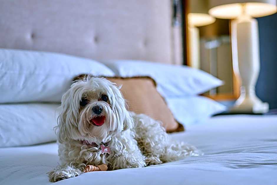 The Brown Palace Hotel and Spa, Autograph Collection