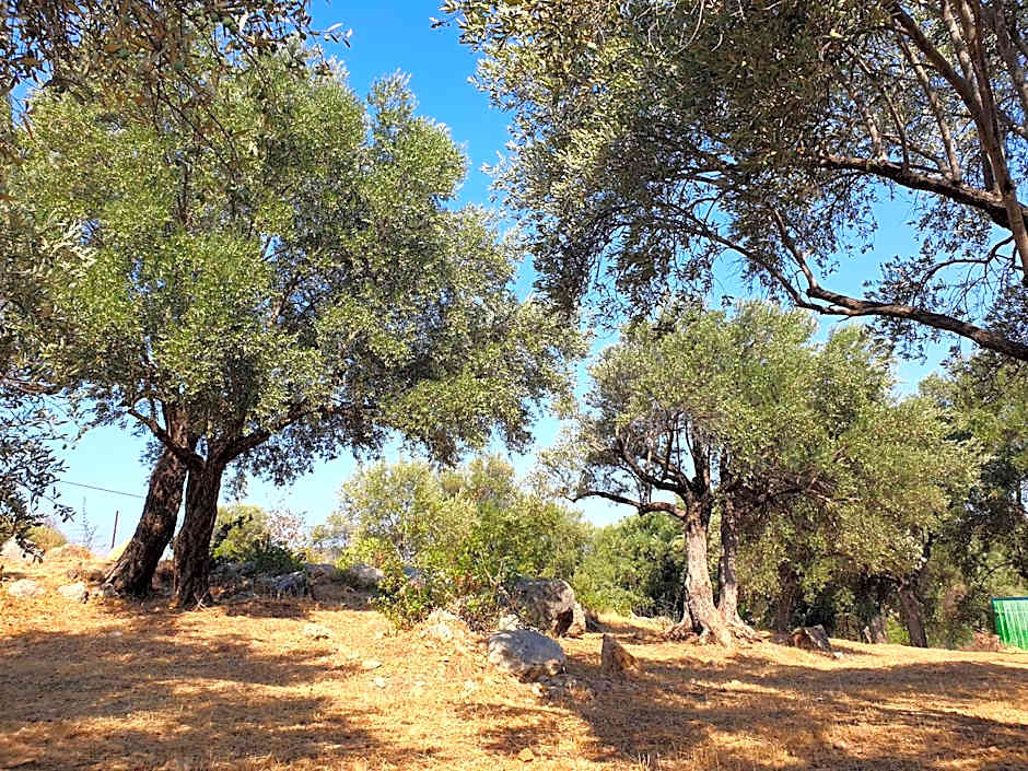 Patara Caretta Hotel