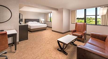 Junior King Suite