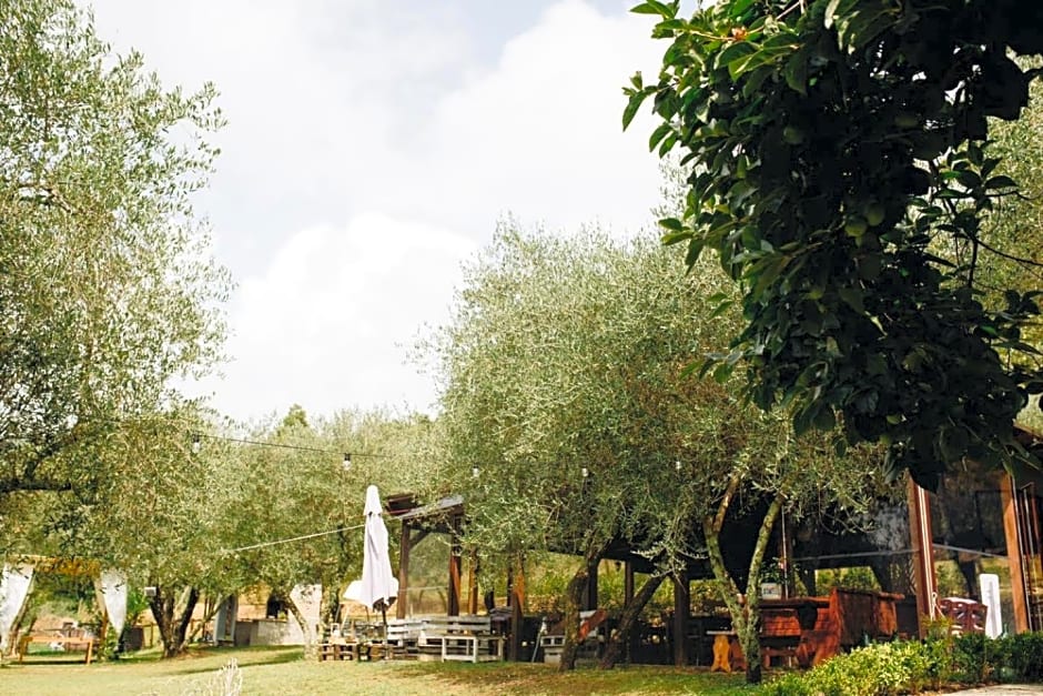 Un'Ottima Annata B&B