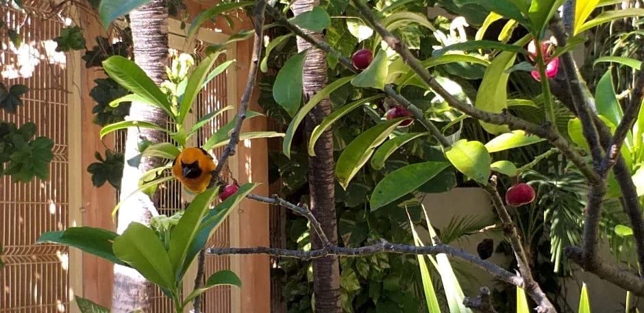 Hotel Posada Sian Kaan Playa del Carmen