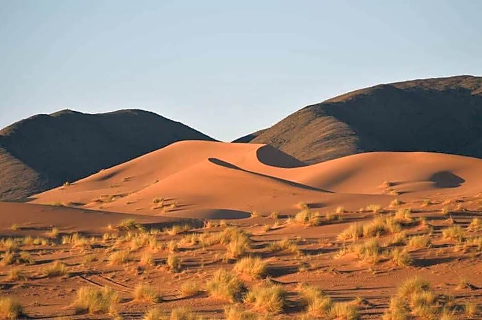 Porte De Sahara Ouzina