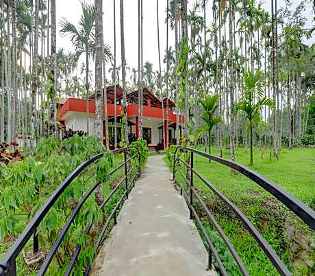 Lazo Areca Resort