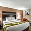 Quality Inn & Suites Holland