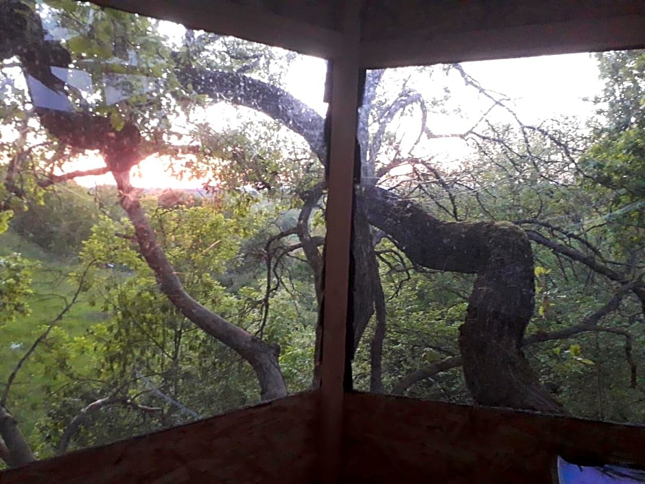 B&B La Cabane Insolite