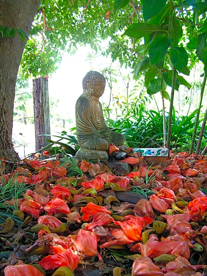 Sacred Mountain Retreat