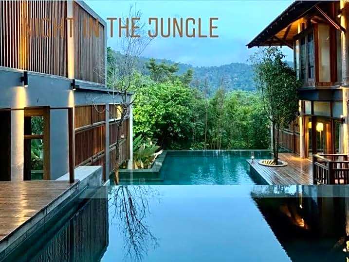 The Shorea