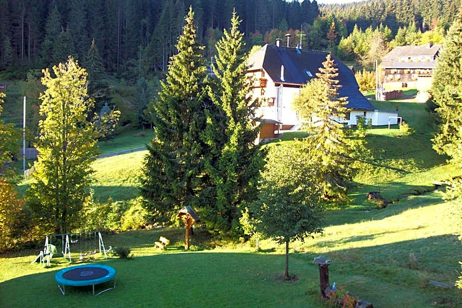 Schwarzwald-Hotel Kraeutle