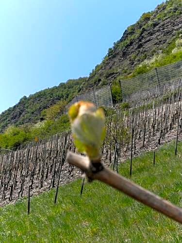 Weinhotel Hubertus Garni