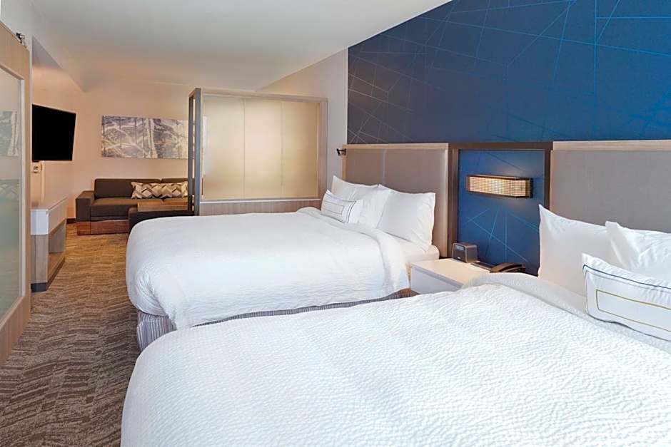 SpringHill Suites by Marriott Montgomery Prattville/Millbrook