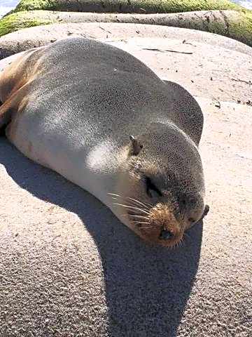 Sandy Bay Holiday Park