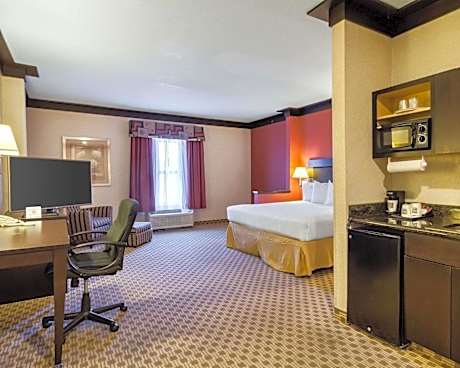 1 King Bed, Suite, Nonsmoking